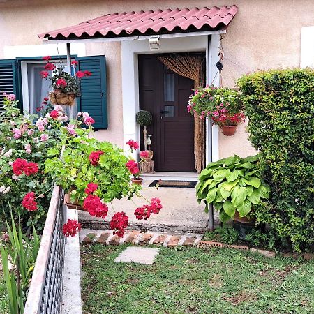 Holiday Home Goga Drnis Exterior photo