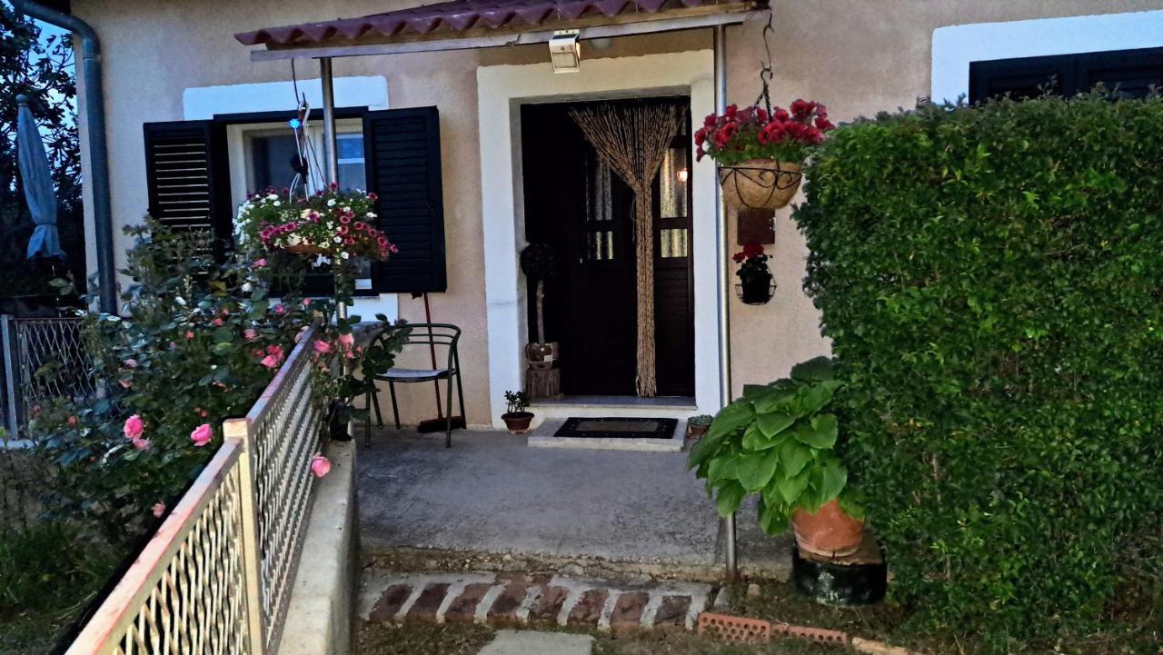 Holiday Home Goga Drnis Exterior photo